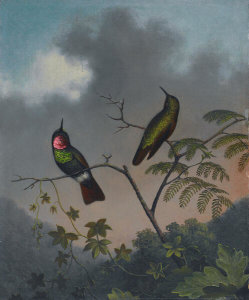 Martin Johnson Heade - Brazilian Ruby, ca. 1863-1864