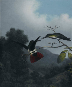 Martin Johnson Heade - Black-throated Mango, ca. 1863-1864