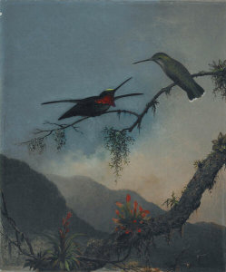 Martin Johnson Heade - Stripe-breasted Starthroat, ca. 1863-1864