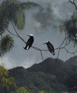 Martin Johnson Heade - Snowcap, ca. 1863-1864