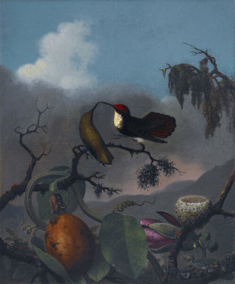 Martin Johnson Heade - Ruby-Topaz, ca. 1863-1864