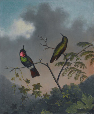Martin Johnson Heade - Brazilian Ruby, ca. 1863-1864