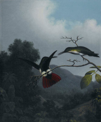 Martin Johnson Heade - Black-throated Mango, ca. 1863-1864
