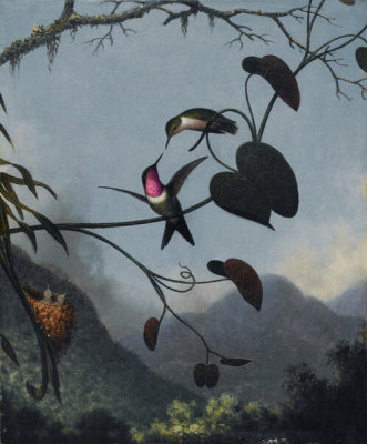Martin Johnson Heade - Amethyst Woodstar, ca. 1863-1864