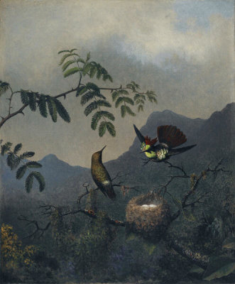Martin Johnson Heade - Frilled Coquette, ca. 1863-1864