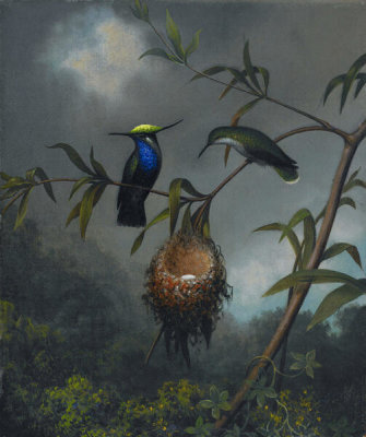 Martin Johnson Heade - Black-breasted Plovercrest, ca. 1863-1864