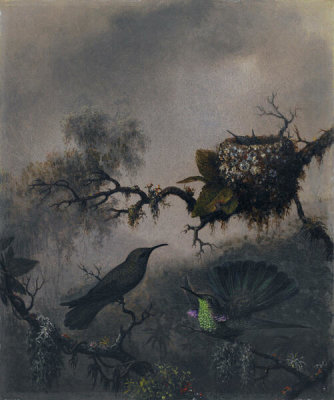 Martin Johnson Heade - White-vented Violet-ear, ca. 1863-1864