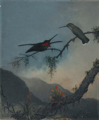 Martin Johnson Heade - Stripe-breasted Starthroat, ca. 1863-1864