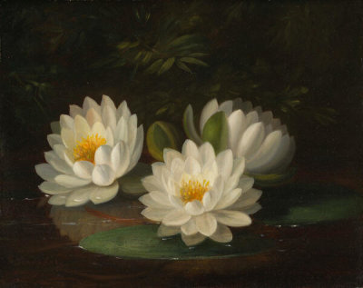 Paul Lacroix - Water Lilies, 1865
